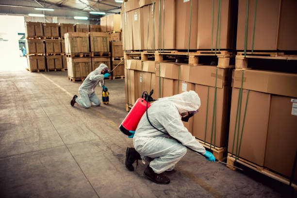 Best Local Pest Control Services  in Kadelphia, AR