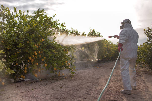 Best Pest Prevention Services  in Kadelphia, AR