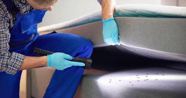 Best Emergency Pest Control  in Kadelphia, AR