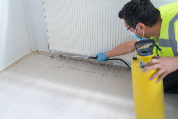 Pest Prevention Services in Arkadelphia, AR