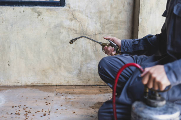 Best Pest Removal Services  in Kadelphia, AR